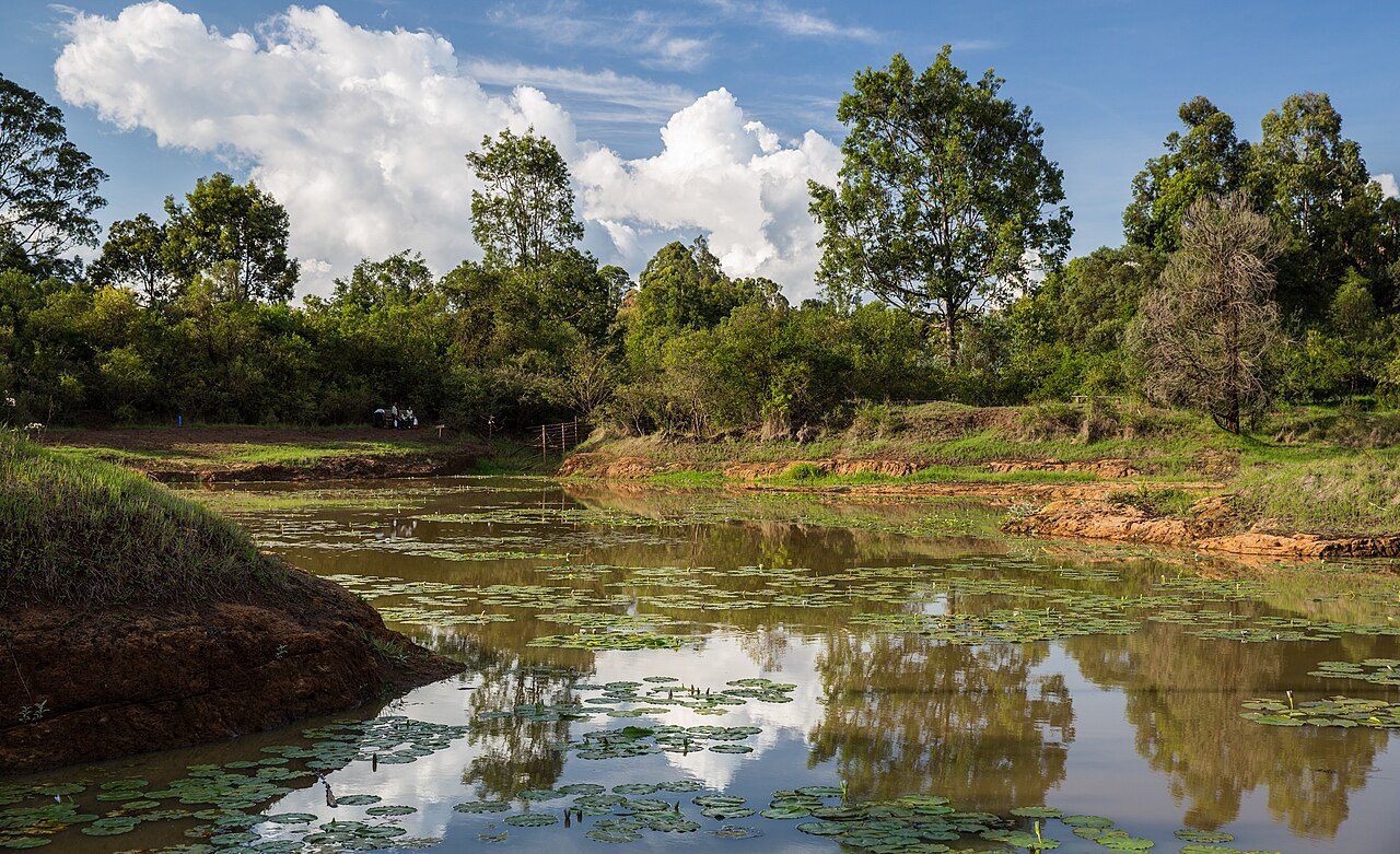 Karura Forest — Limuru Road, Nairobi