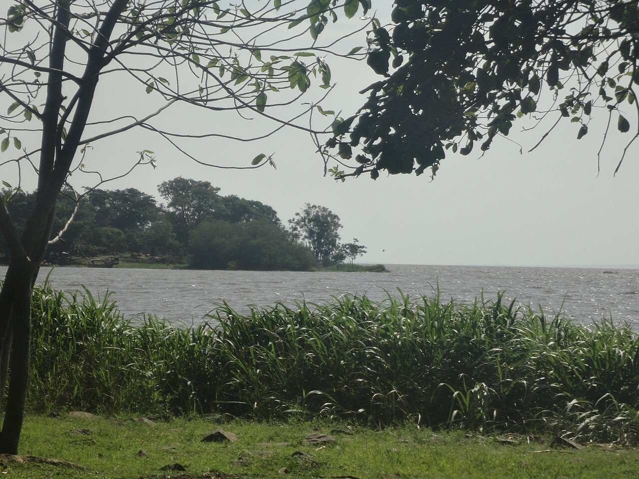 Kisumu Impala Sanctuary — Kisumu