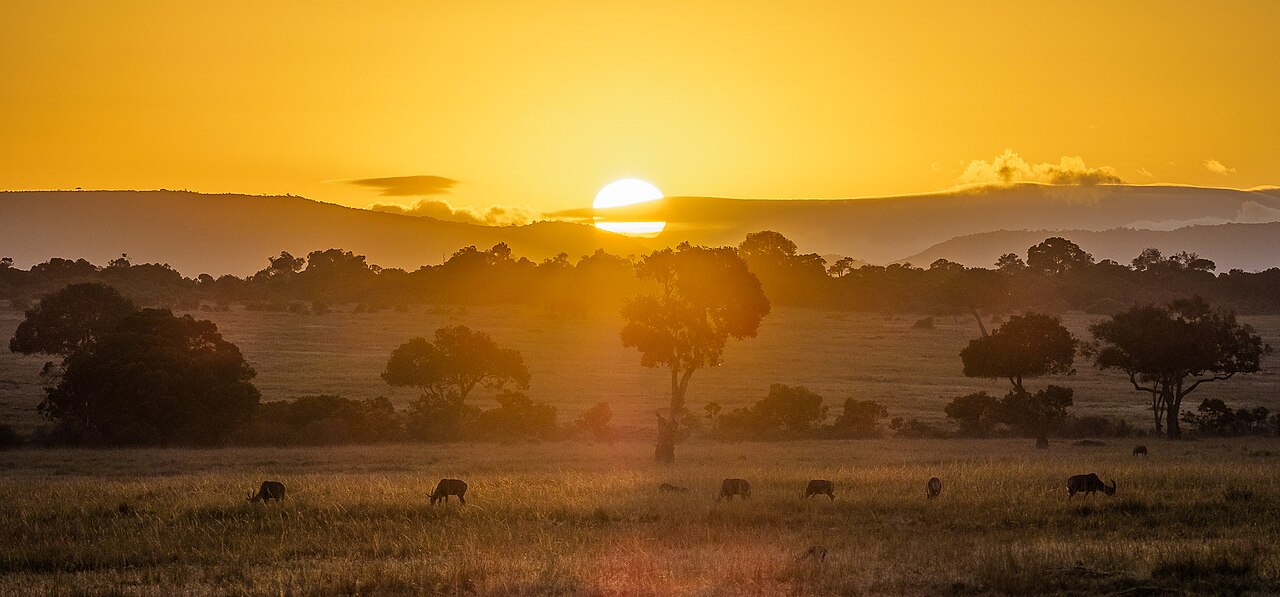 Maasai Mara National Reserve — Narok County