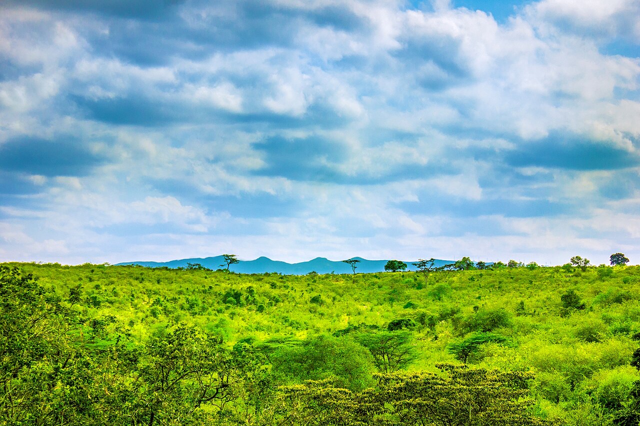 Ngong Hills — Ngong, near Nairobi