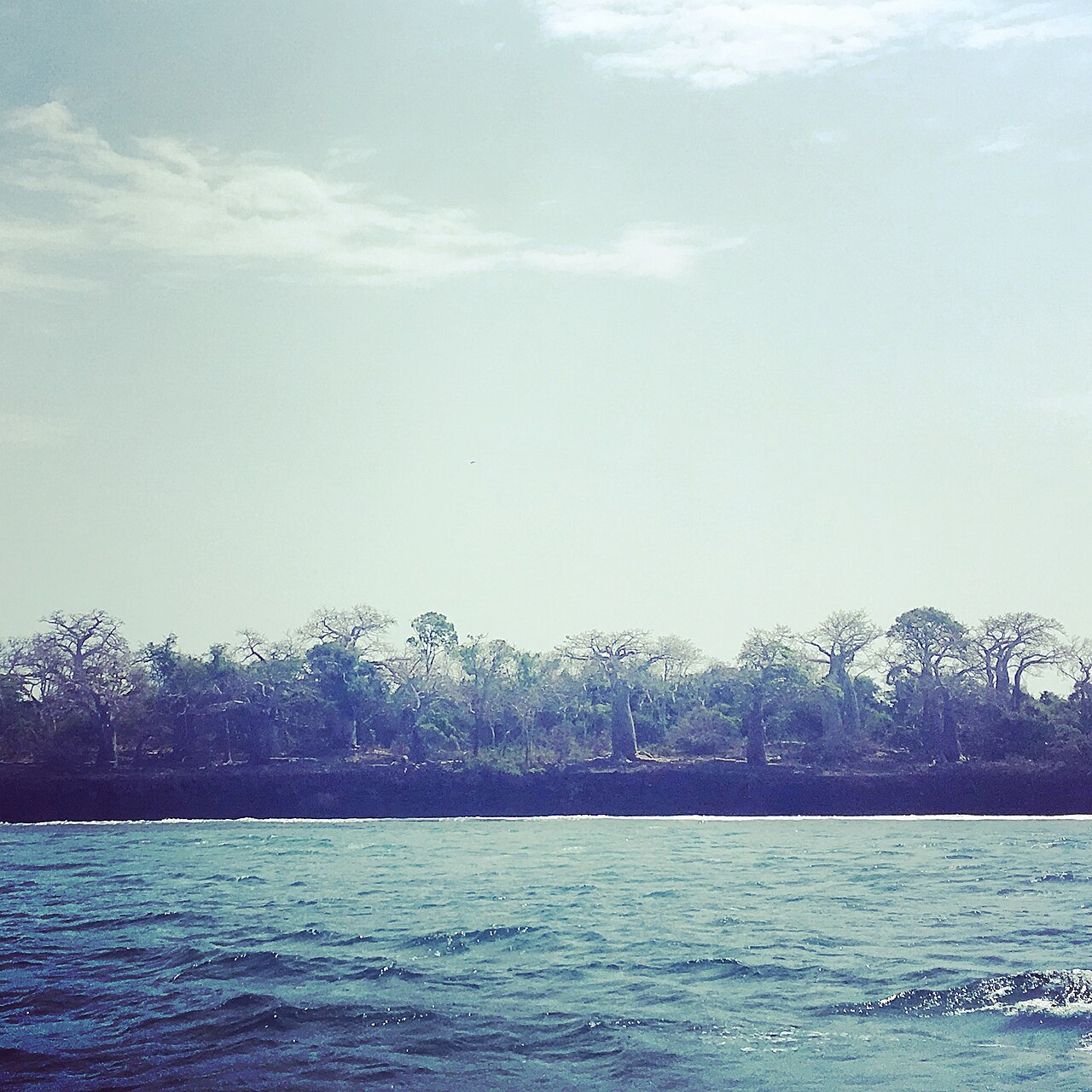 Wasini Island & Kisite Marine Park — Shimoni, Kwale