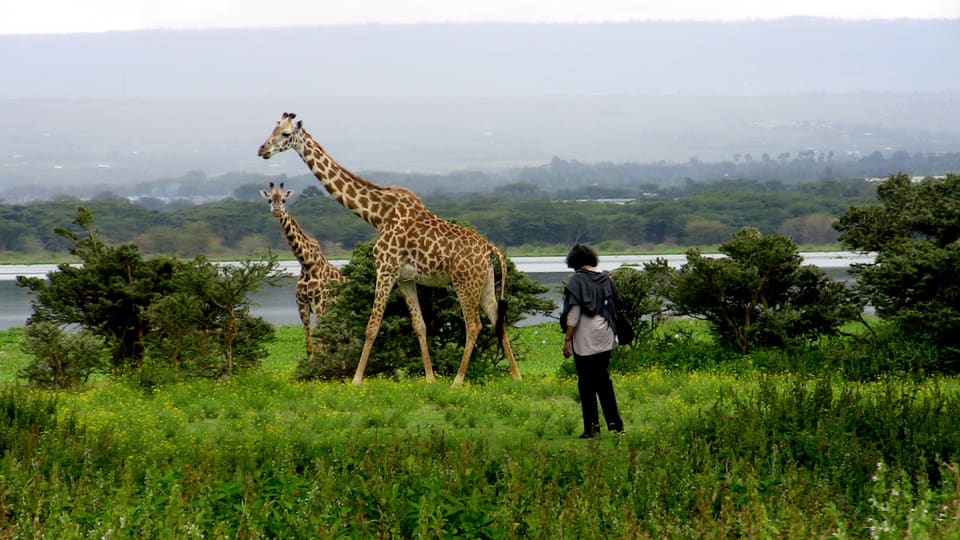 Crescent Island Game Sanctuary - Lake Naivasha