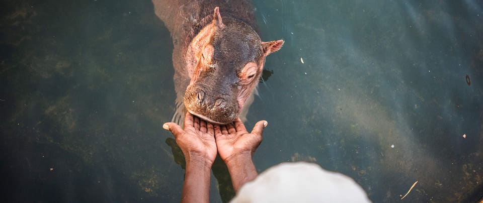 Sheldrick Wildlife Trust — Nairobi National Park, Nairobi