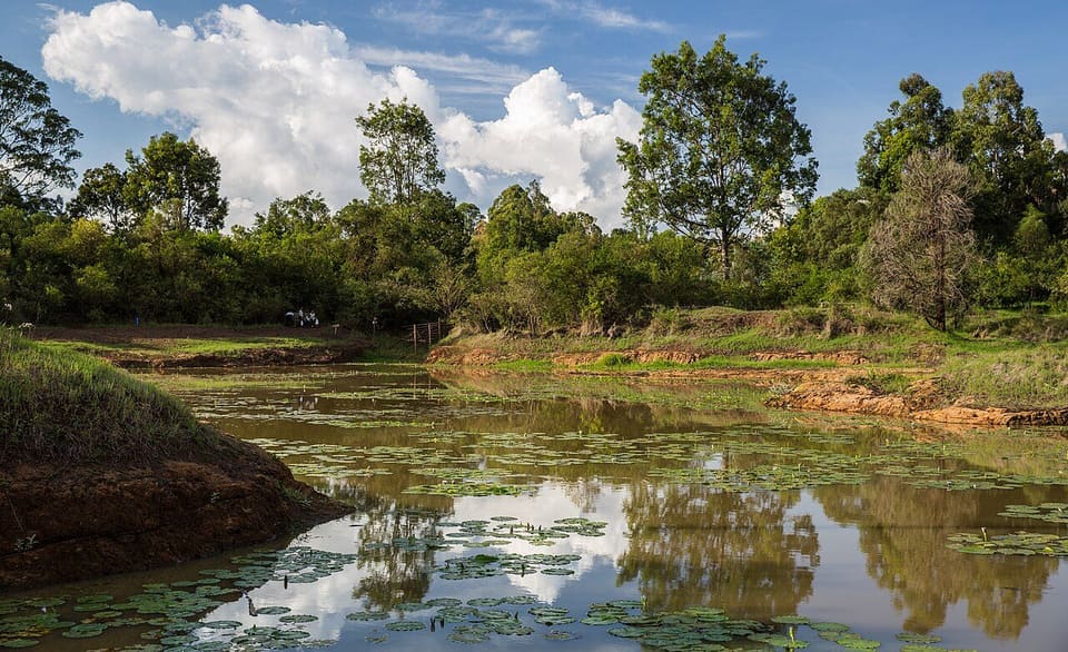Karura Forest — Limuru Road, Nairobi