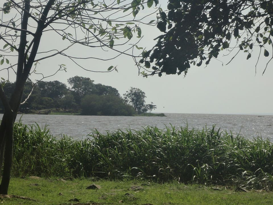 Kisumu Impala Sanctuary — Kisumu